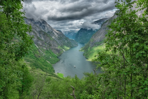 Luchtfoto van een prachtige Noorse fjord, de Sognefjord, verticaal.