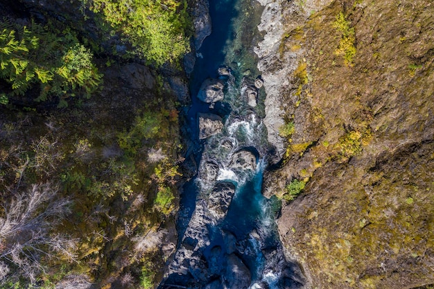 Luchtfoto van een rivier die door bomen stroomt