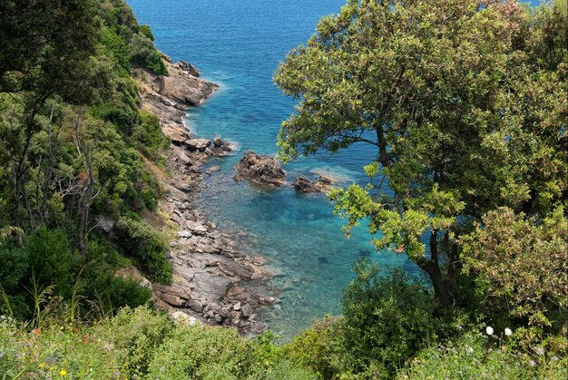 Luchtfoto van een rotsachtige kust met een park in Elba, Italië