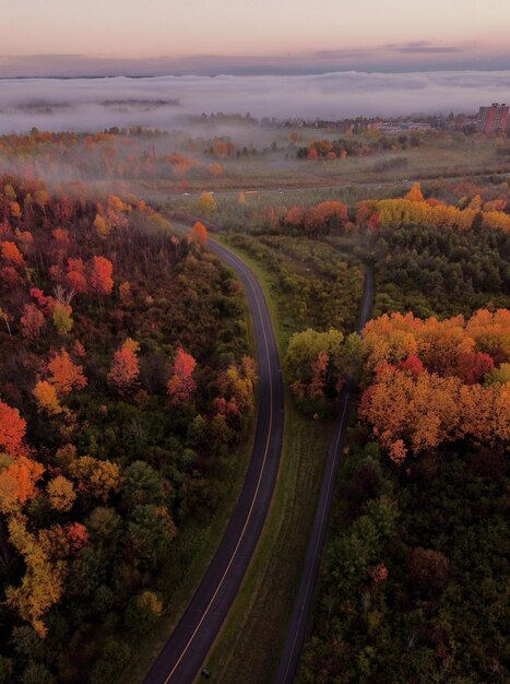 Luchtfoto van een weg door het bos op een herfstdag