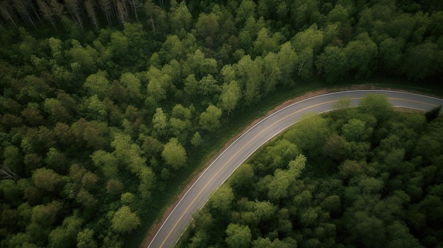 Luchtfoto van een weg in het bos
