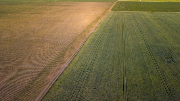 Luchtfoto van gecultiveerd gewas