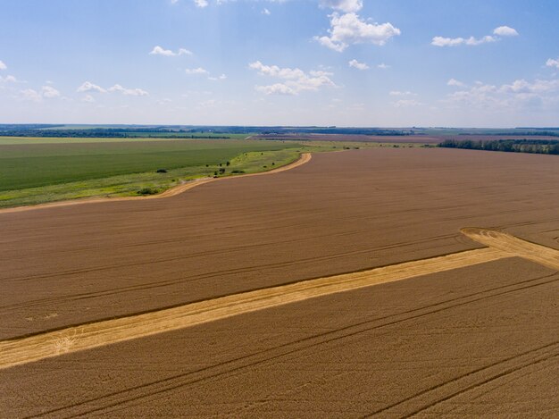 Luchtfoto van geel tarweveld in de zomer.