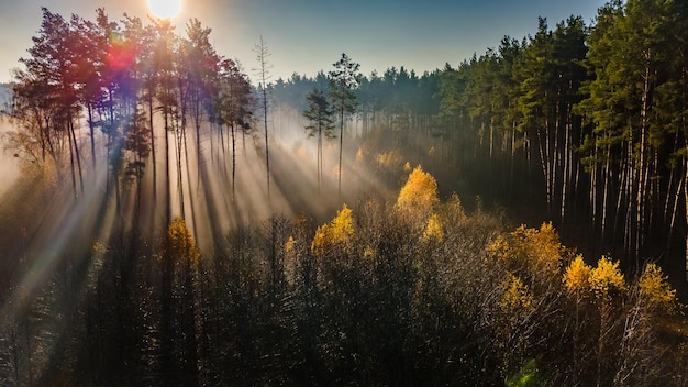 Luchtfoto van geelgroene herfstbomen in het mistige herfstbos met stralende zonsopgang