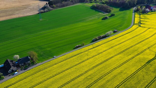 Foto luchtfoto van gele koolzaadvelden op het duitse platteland