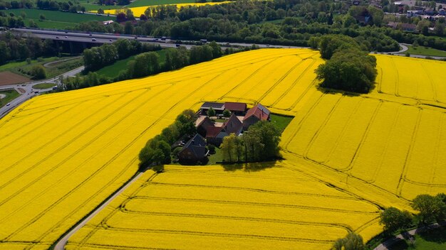 Luchtfoto van gele koolzaadvelden op het Duitse platteland