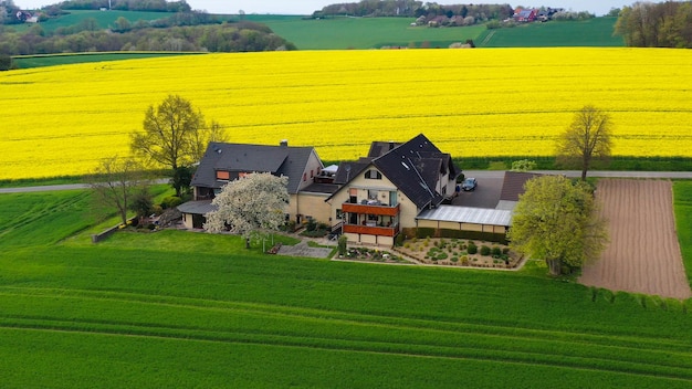 Luchtfoto van gele koolzaadvelden op het Duitse platteland