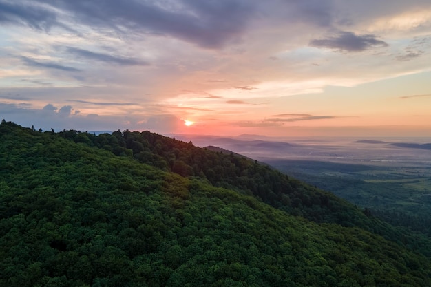 Luchtfoto van groen dennenbos met donkere sparren die bergheuvels bedekken bij zonsondergang Noordelijk boslandschap van bovenaf