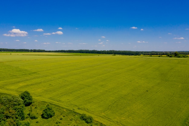 Luchtfoto van groen veld en heldere hemel