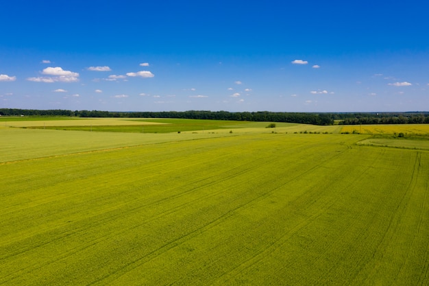 Luchtfoto van groen veld en heldere hemel