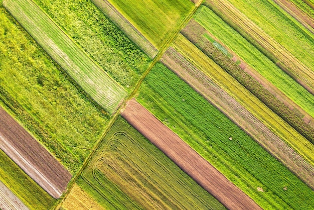 Luchtfoto van groene landbouwvelden in het voorjaar met verse vegetatie na het zaaien seizoen op een warme zonnige dag