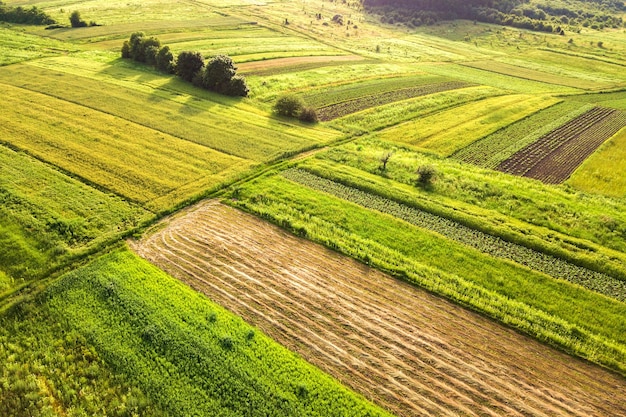 Luchtfoto van groene landbouwvelden in het voorjaar met verse vegetatie na het zaaiseizoen op een warme zonnige dag.