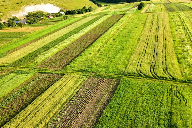 Luchtfoto van groene landbouwvelden in het voorjaar met verse vegetatie na het zaaiseizoen op een warme zonnige dag.