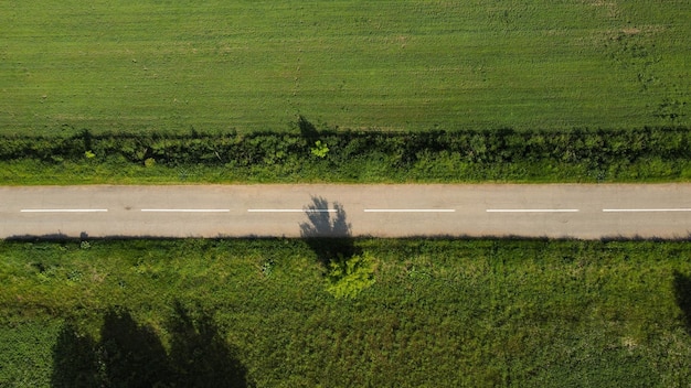 Luchtfoto van groene zomer bosweg van bovenaf