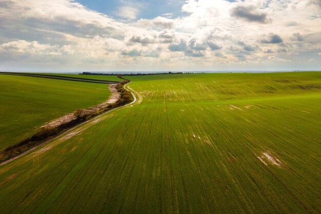 Luchtfoto van helder groen landbouwgebied in het vroege voorjaar.