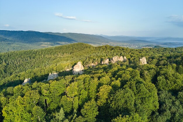 Luchtfoto van helder landschap met groene bosbomen en grote rotsachtige keien tussen dichte bossen in de zomer Prachtig landschap van wild bos