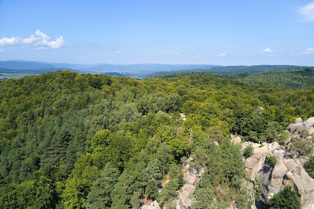 Luchtfoto van helder landschap met groene bosbomen en grote rotsblokken tussen dichte bossen in de zomer. Prachtig landschap van wilde bossen.