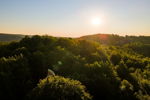 Luchtfoto van heldere mistige ochtend over donkere bosbomen bij warme zomerzonsopgang. Prachtig landschap van wilde bossen bij dageraad.