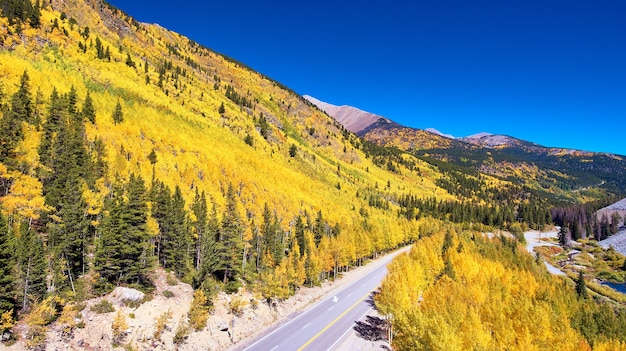 Luchtfoto van herfst goudgele espenbomen die bergen op de weg bedekken