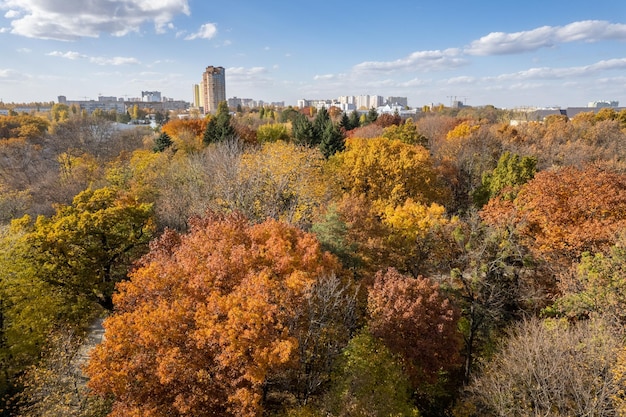 Luchtfoto van herfstbomen met stad op de achtergrond