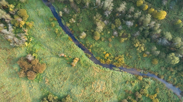 Luchtfoto van herfstbos