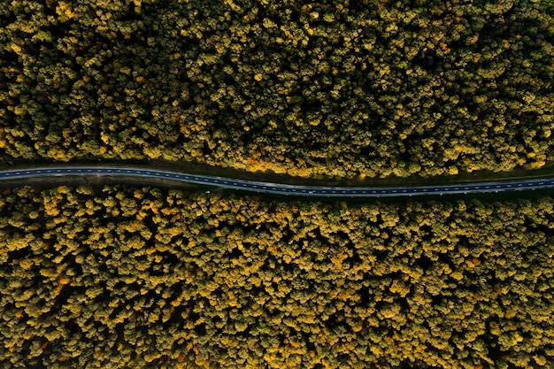 Luchtfoto van herfstbossen en de snelweg die het bos doorkruist k afbeeldingen bovenaanzicht