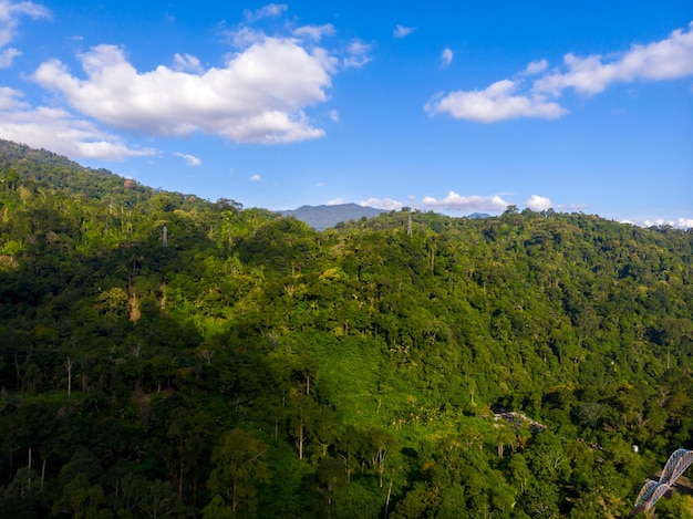 Luchtfoto van het bergbos met blauwe lucht