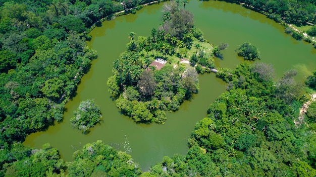 Luchtfoto van het Burle Marx-park Parque da Cidade in Sao Jose dos Campos Brazilië Lange en mooie palmbomen