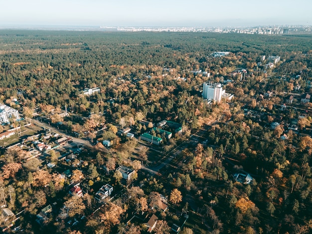 Luchtfoto van het herfstbos in de buurt van de rivier in de middag