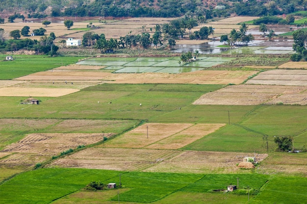 Luchtfoto van het Indiase platteland met rijstvelden Tamil Nadu