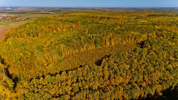 Luchtfoto van het kleurrijke herfstbos