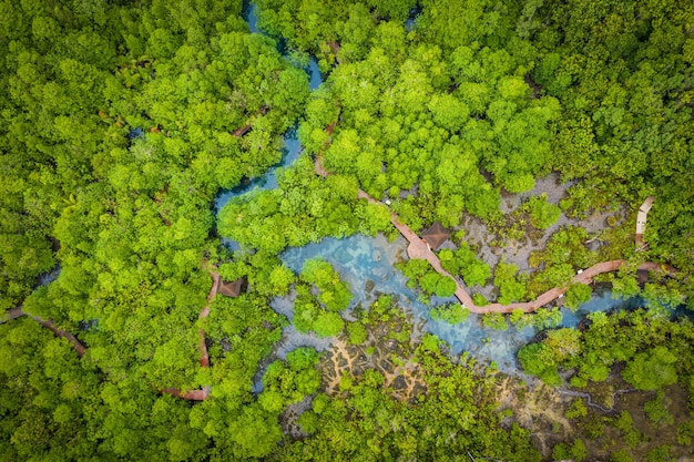 Luchtfoto van het mangrovebos van Tha Pom Klong Song Nam