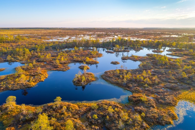 Luchtfoto van het moeras van Yelnya, Wit-Rusland