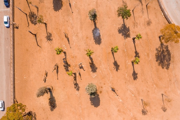 Luchtfoto van het safaripark met giraffen die vanuit de auto's voederen. Luchtfoto Safari-weergave.