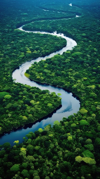 Luchtfoto van het weelderige groen van het Amazone-regenwoud en het ingewikkelde riviersysteem