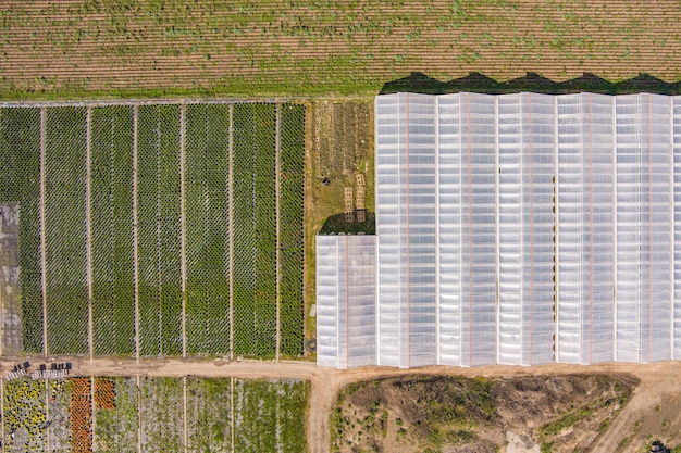 Luchtfoto van kassen