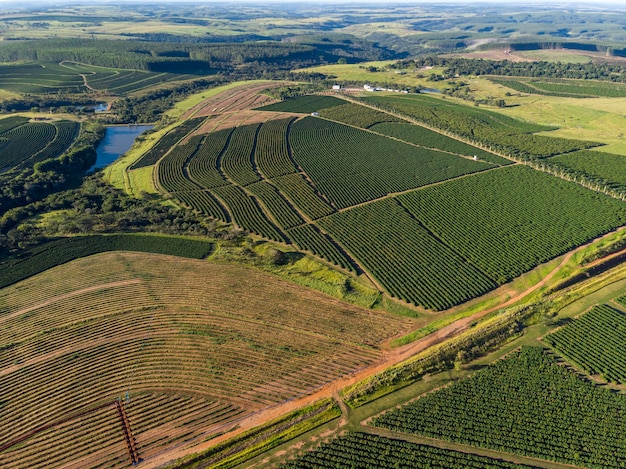 Luchtfoto van koffieplantage in Brazilië.