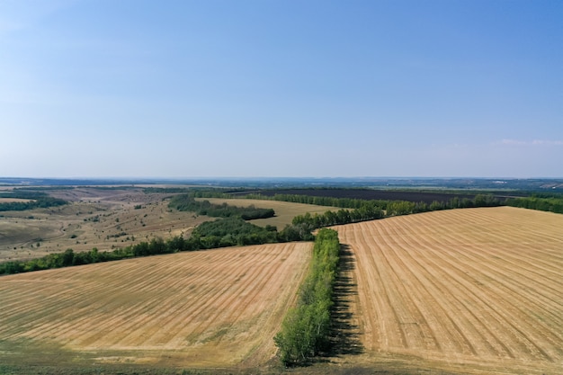 Foto luchtfoto van landbouwvelden op zonnige dag