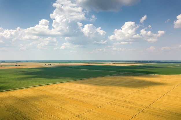 Luchtfoto van landbouwvelden. Platteland, agrarisch landschap Luchtfoto.