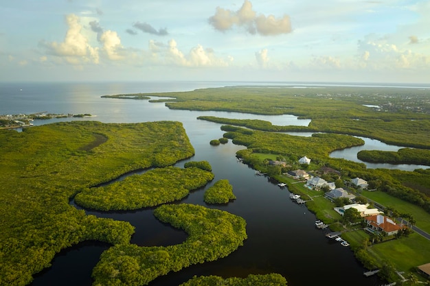 Luchtfoto van landelijke privéhuizen in afgelegen buitenwijken in de buurt van wetlands met wilde dieren in Florida met groene vegetatie aan de kust van de baai van de zee Leven dicht bij de natuur concept