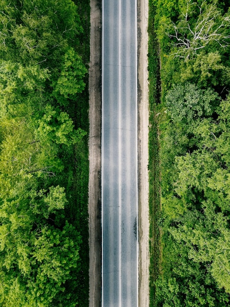 Luchtfoto van lege weg door groen lentebos