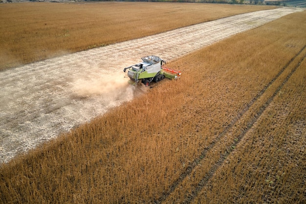 Luchtfoto van maaidorser die werkt tijdens het oogstseizoen op groot rijp tarweveld Landbouwconcept