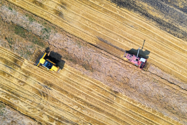 Luchtfoto van maaidorser oogst tarwe bij zonsondergang in de zomer Landbouwlandschap met oogstmachines die op het gele tarweveld werken Bovenaanzicht van landbouwmachine en rijpe tarwe