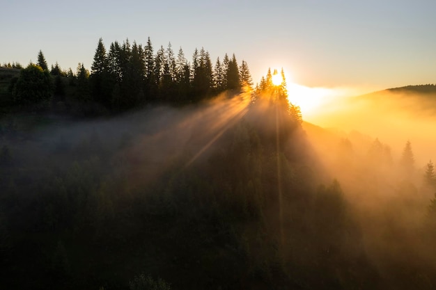 Luchtfoto van mistige zonsopgang in de bergen Karpaten