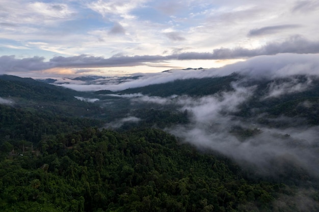 Luchtfoto van mistwolk en mist die na een storm over een weelderig tropisch regenwoud hangt