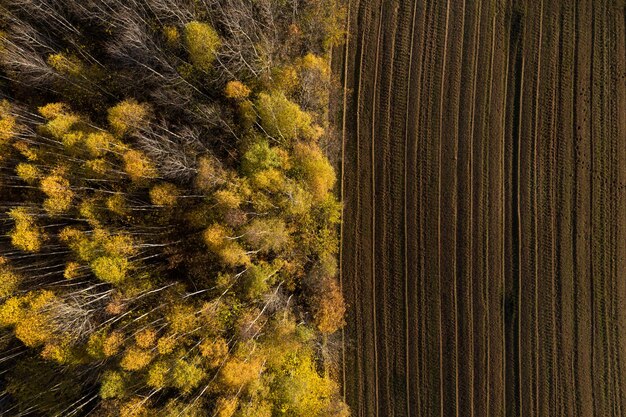 Luchtfoto van ontbossingsgebied voor landbouwgrond