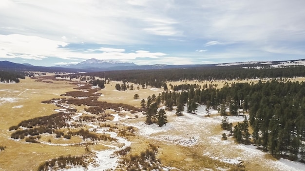 Luchtfoto van Pikes National Forest in de winter.