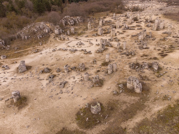 Luchtfoto van Pobiti Kamani The Stone Forest Natural Reserve in de buurt van Varna in Bulgarije