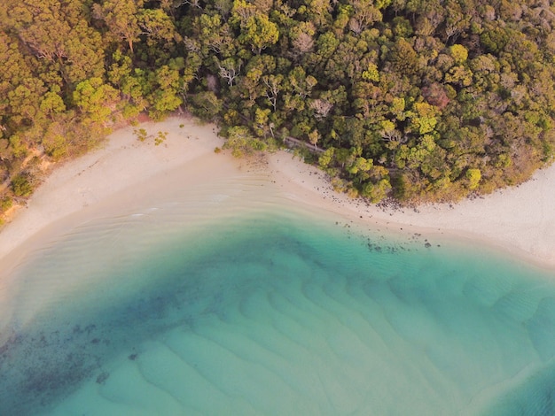 Luchtfoto van prachtige turquoise zee oceaan, strand en boom boswandeling, bovenaanzicht van drone