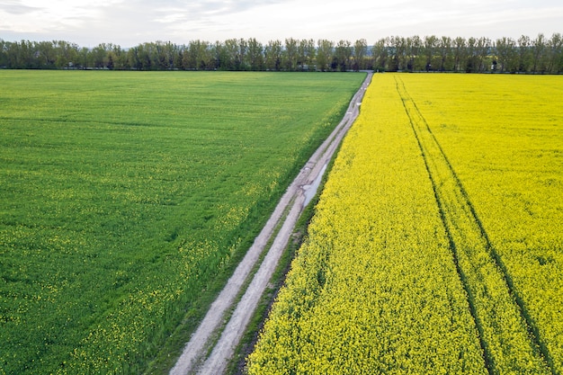 Luchtfoto van rechte grond weg in groene velden met bloeiende planten